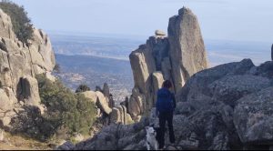 Lee más sobre el artículo Descubre La Cabrera: Un rincón de la naturaleza en la sierra de Madrid