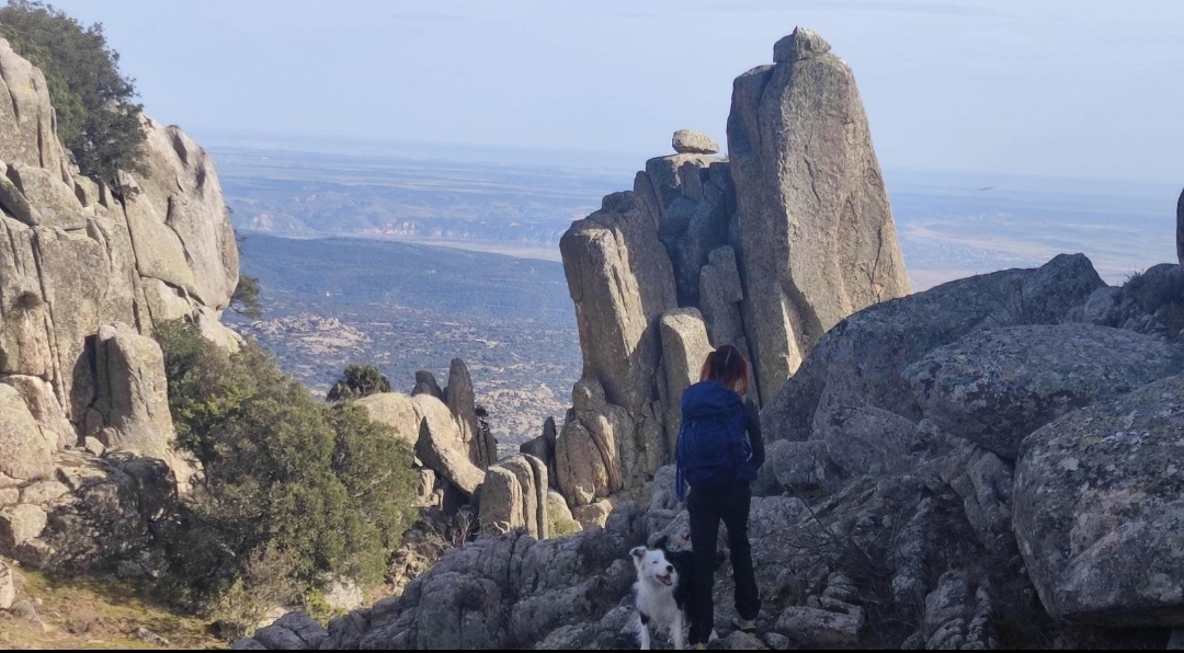 En este momento estás viendo Descubre La Cabrera: Un rincón de la naturaleza en la sierra de Madrid
